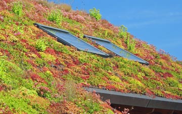 Keysoe Row living roof systems