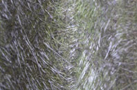 Keysoe Row fibreglass roof work